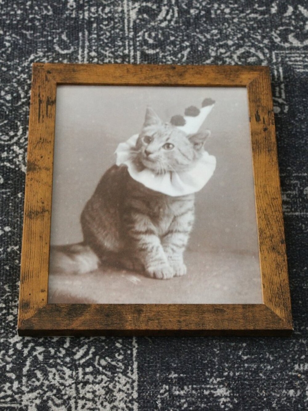 Vintage Clown Costume Cat Photo Print 8x10 Antique Kitten Wall Decor Art